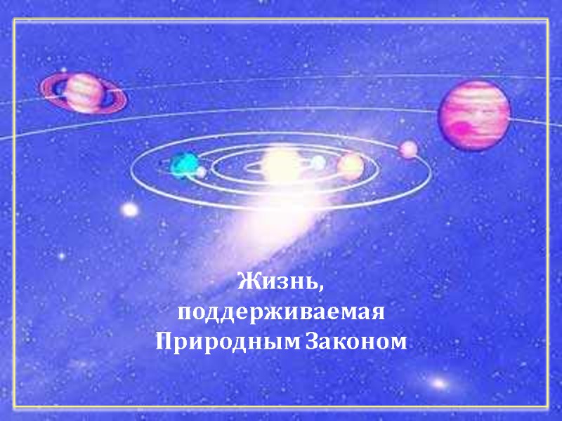Жизнь, поддерживаемая Природным Законом Жизнь, поддерживаемая Природным Законом